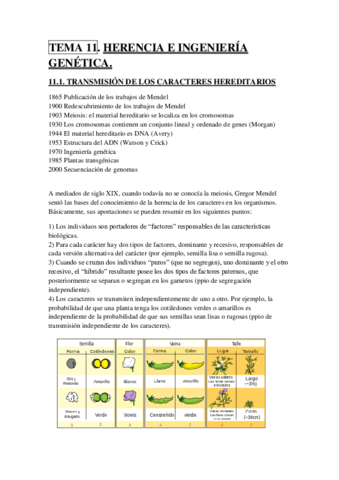 TEMA 11.pdf