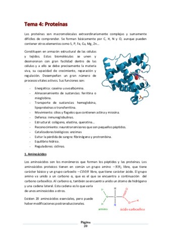 T4. Proteínas.pdf