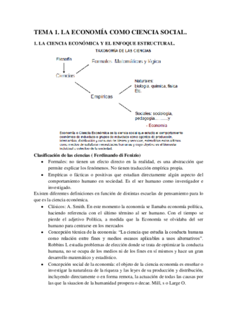TEMARIO COMPLETO.pdf