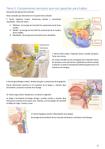 Tema 5. Anatomía..pdf