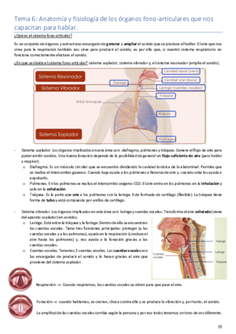 Tema 6. Anatomía..pdf