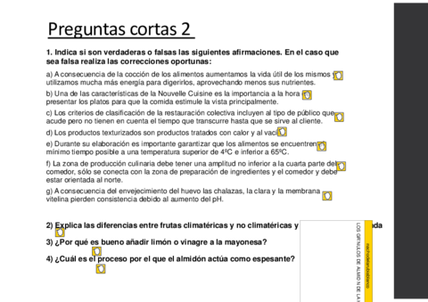 Preguntas Cortas 2.pdf