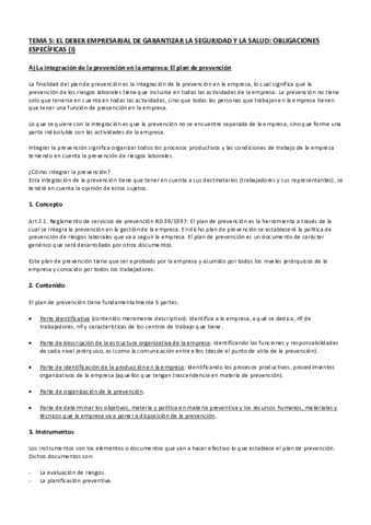 TEMA 5.pdf