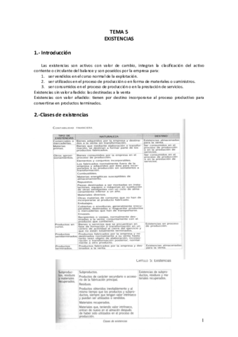 TEMA 5 Existencias.pdf
