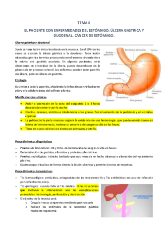 6 ESTÓMAGO.pdf