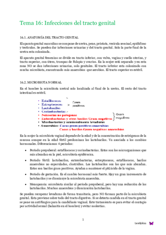 Tema 16 Microbiología clínica.pdf