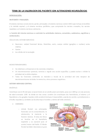 BLOQUE IV PATRON COGNITIVO PERCEPTUAL.pdf