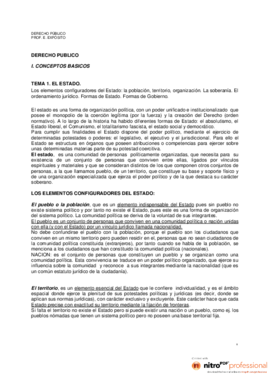 Apuntes derecho publico IP.pdf