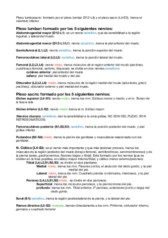 Plexo lumbosacro.pdf