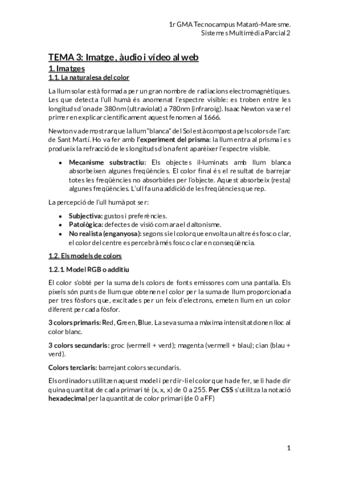 APUNTS sistemes multimèdia 2n parcial.pdf