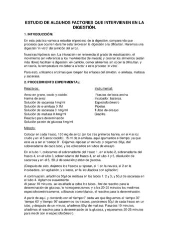 memoria practica digestivo.pdf