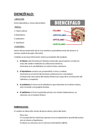 DIENCÉFALO.pdf