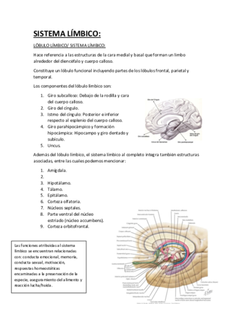 SISTEMA LÍMBICO.pdf