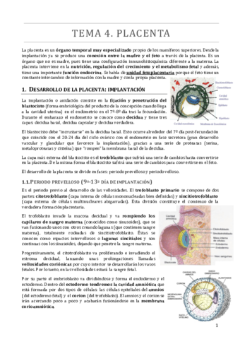 TEMA 4.pdf