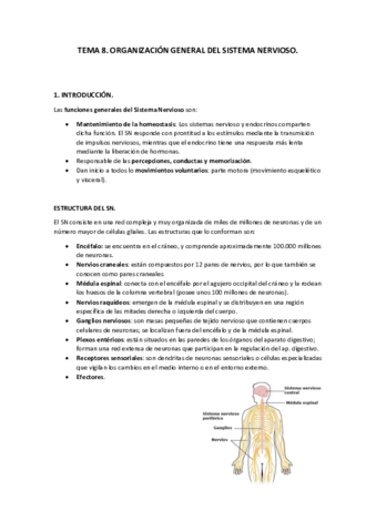 Tema 8. Organización general del SN..pdf