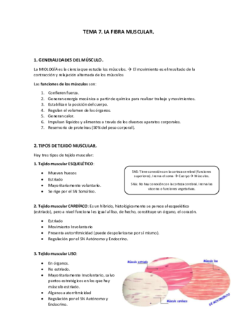 Tema 7. La fibra muscular..pdf