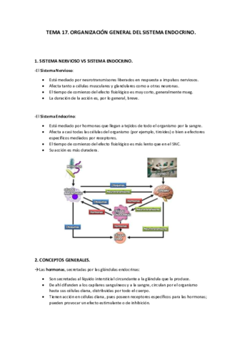 Tema 17. Organización general del sistema endocrino..pdf