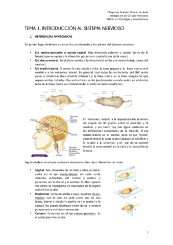 TEMA 1. Introducción al sistema nervioso.pdf