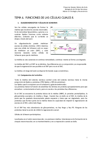 TEMA 6. FUNCIONES DE LAS CÉLULAS GLIALES II.pdf