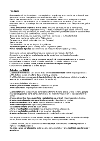 Fascia- vasos y linfáticos de MMII.pdf