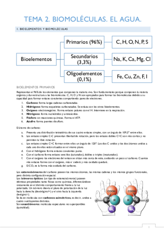 bioquimica_todo.pdf