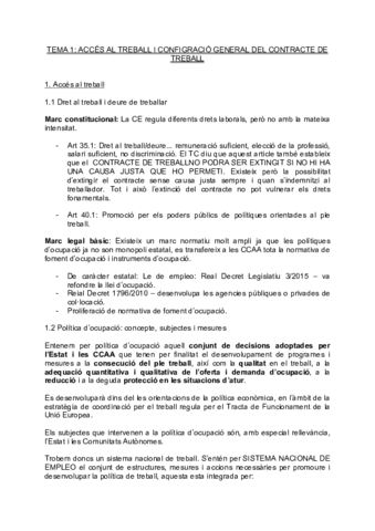 TEMA 1.pdf
