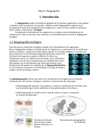 Tema 6 Biología Francis.pdf