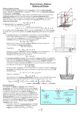 Bloque 2. Biofísica del Fluido.pdf