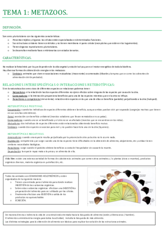 PARTE 1- METAZOOS..pdf