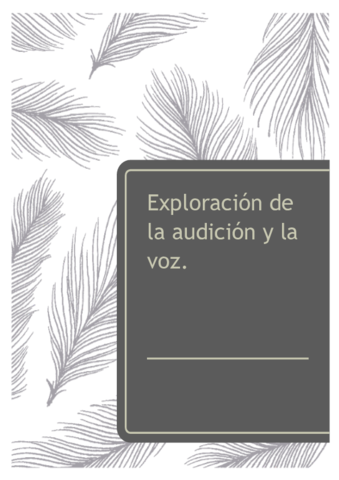 Temario exploración y audición.pdf