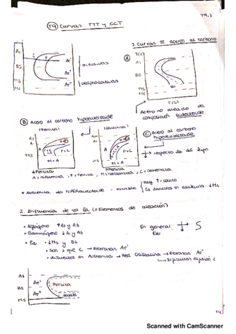 Ciencia de Materiales PEC2.pdf