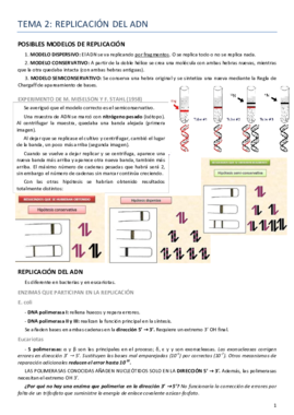 Tema 2 Genética.pdf