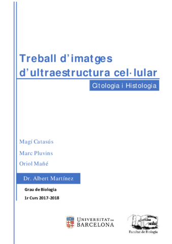 Treball Ultraestructura.pdf