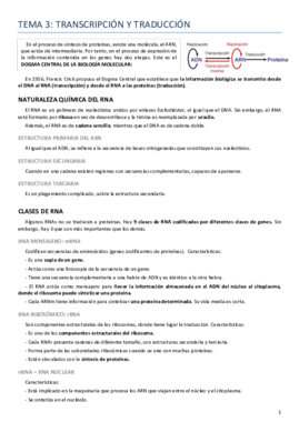 Tema 3 Genética.pdf