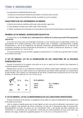 Tema 4 Genética.pdf