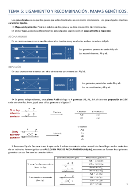 Tema 5 Genética.pdf