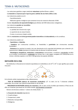 Tema 6 Genética.pdf