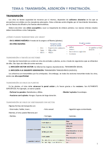 Tema 6 virología.pdf