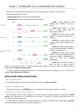 Tema 7 virología.pdf