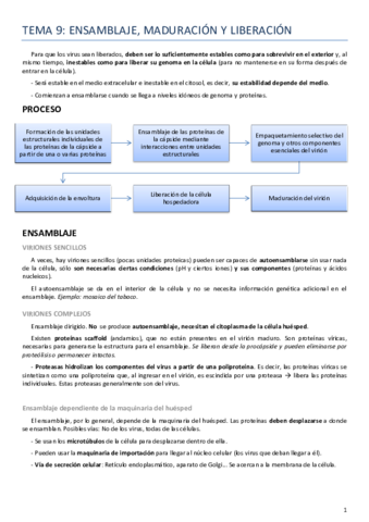 Tema 9 virología.pdf