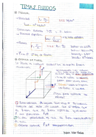 Tema 2. Fluidos Yajaira Feller - Grado de Bioquimica.pdf