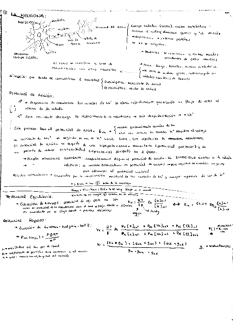 Resumen-Parte Nestor.pdf