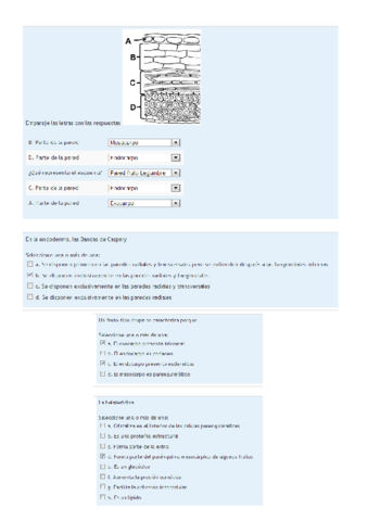 cuestionari1.pdf