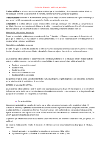 TEMA 13.pdf