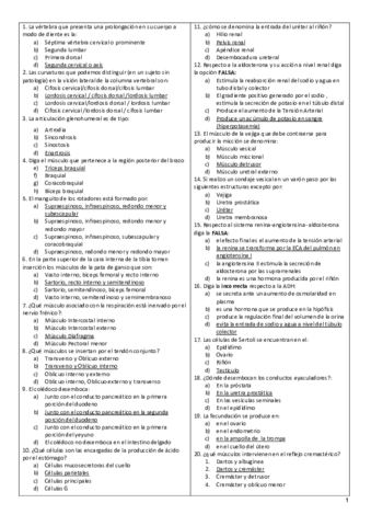 EXAMEN.pdf