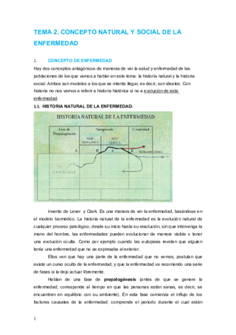 TEMA 2.pdf