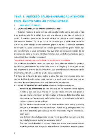 tema 1.pdf