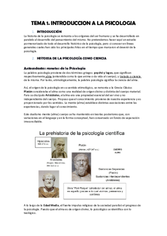 Tema 1.pdf