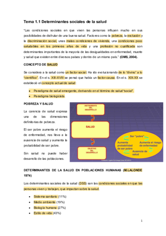 Tema 1.1docx.pdf