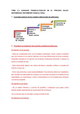 Tema 2.3.pdf